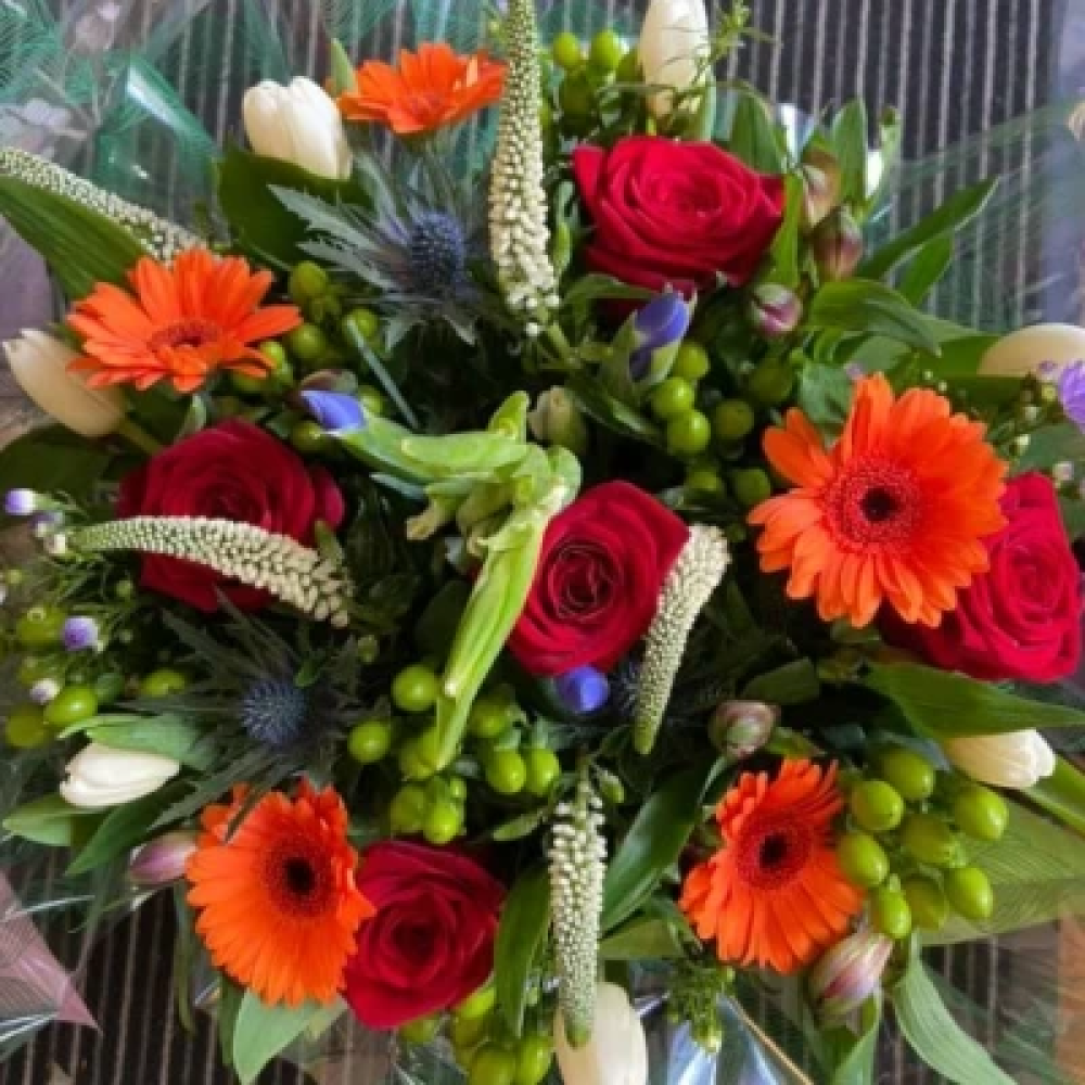 Red and Orange Celebration